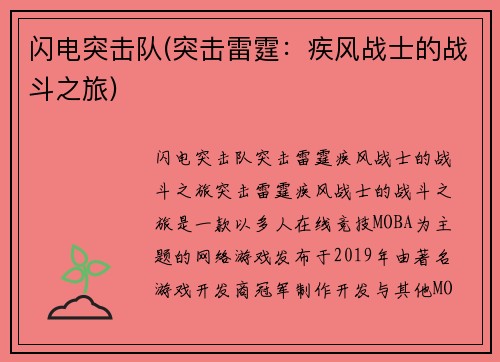闪电突击队(突击雷霆：疾风战士的战斗之旅)